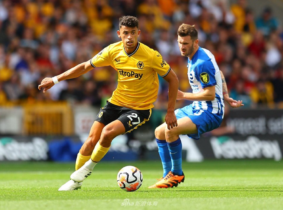 赛场上大放 赛场上大放